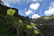 Anello Laghi di Ponteranica-Monte Avaro dai Piani il 3 giugno 2020  - FOTOGALLERY